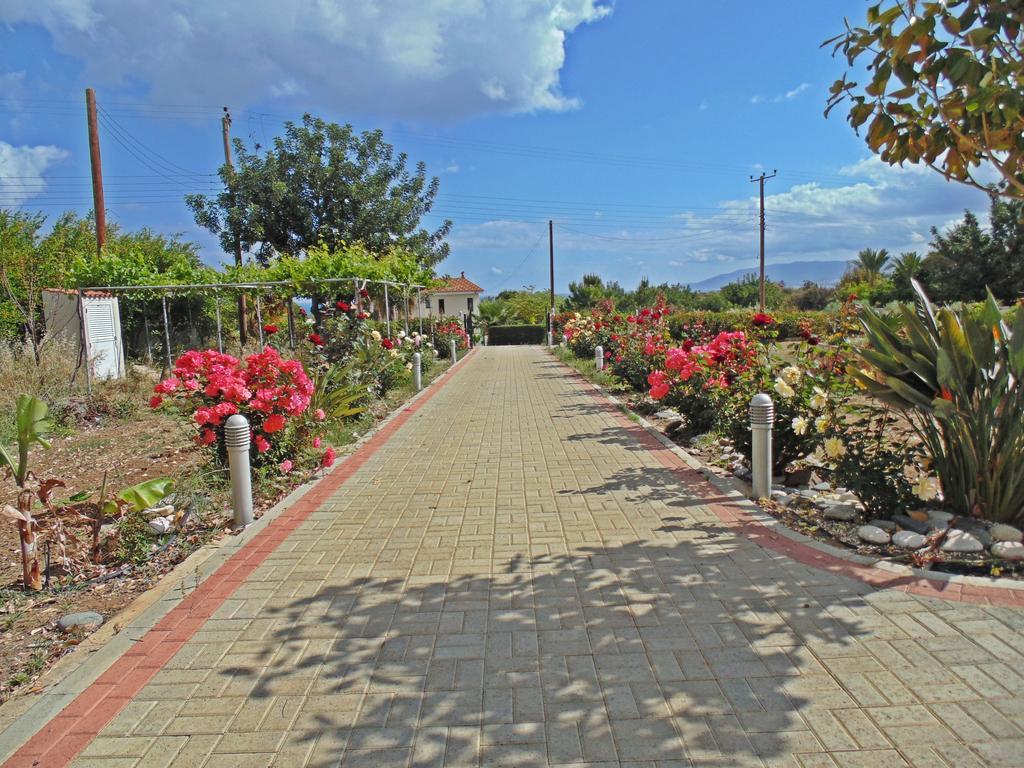 Eliofos Luxury Villa Polis Bagian luar foto