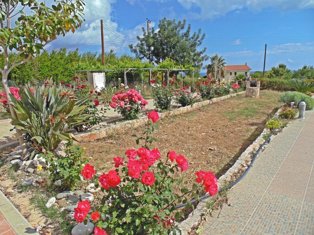 Eliofos Luxury Villa Polis Bagian luar foto