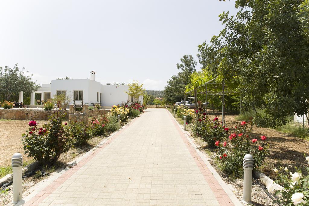 Eliofos Luxury Villa Polis Bagian luar foto